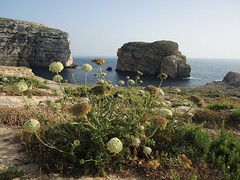 San Lawrenz, Malta1