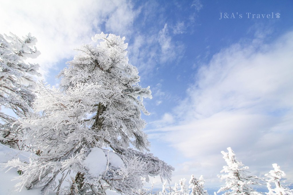 藏王樹冰-含交通、藏王樹冰套票介紹，冬季山形景點推薦【日本東北山形景點】 @J&amp;A的旅行