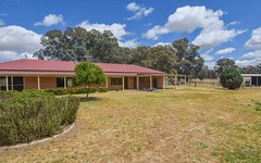 103 Pattersons Lane, Young NSW