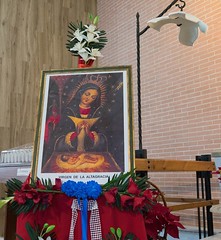 Misa en honor de la Virgen de la Altagracia 2020 • <a style="font-size:0.8em;" href="http://www.flickr.com/photos/137394602@N06/49486182202/" target="_blank">View on Flickr</a>