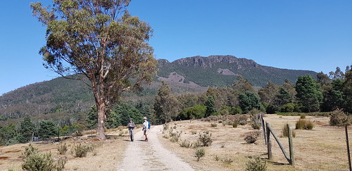 Walk start in Golden Valley Tasmania