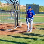 Chicago Cubs Spring Training 2020