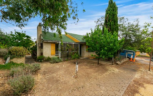 8 Forrest Avenue, Valley View SA