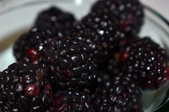 Blackberries In A Bowl.