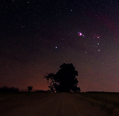 Orion - Boddington, Western Australia
