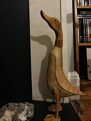 Jemima Wooden Duck 46/366 2020