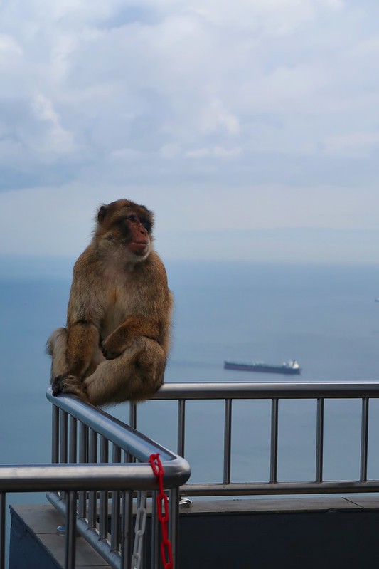 Gibraltar, UK.