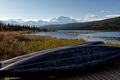 I Planned My Getaway to Some Far Off Places (Denali National Park & Preserve)