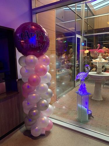 Ballonpilaar Breed Rond Happy Birthday Flamingo Hoogvliet Rotterdam