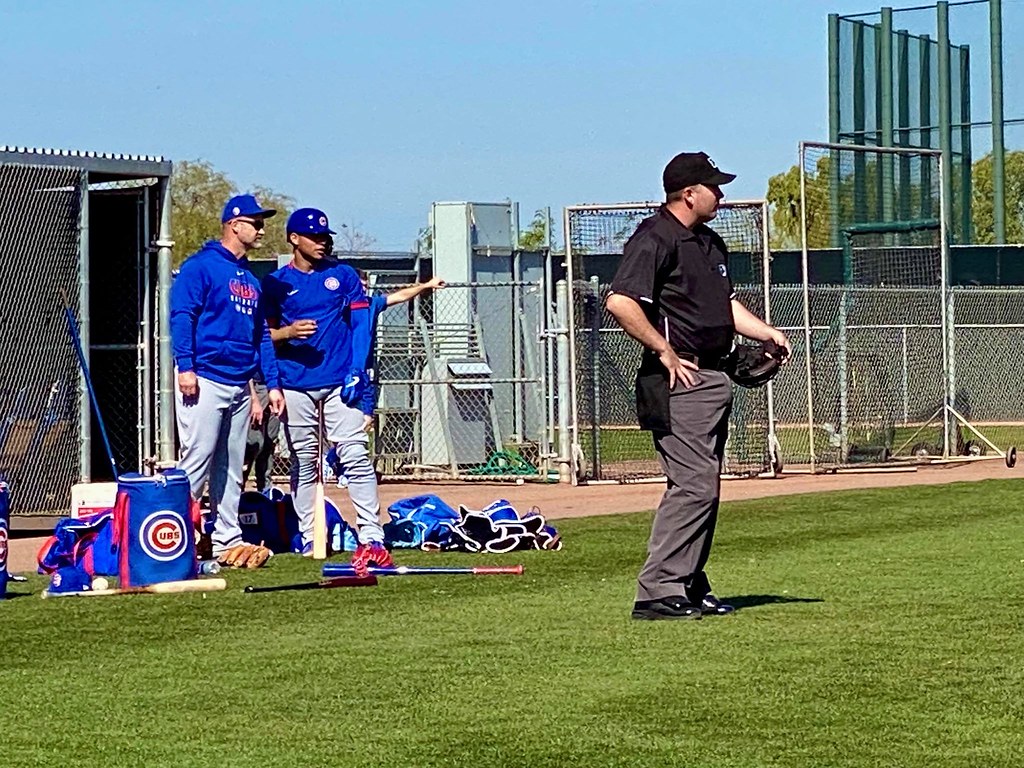 Cubs Baseball Photo of chicago and spring and training