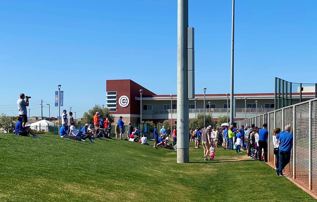 Cubs Baseball Photo of chicago and spring and training