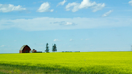 Saskatchewan Countryside