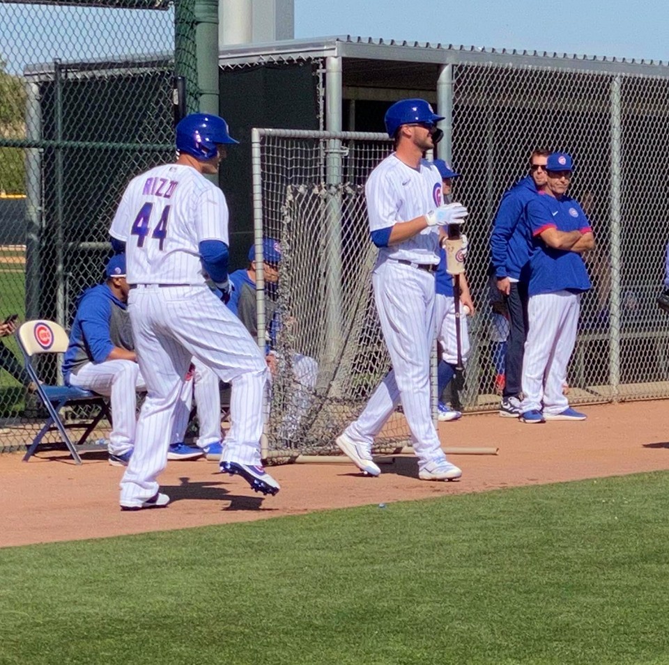 Bulls Baseball Photo of chicago and cubs and springtraining and Anthony Rizzo and Kris Bryant