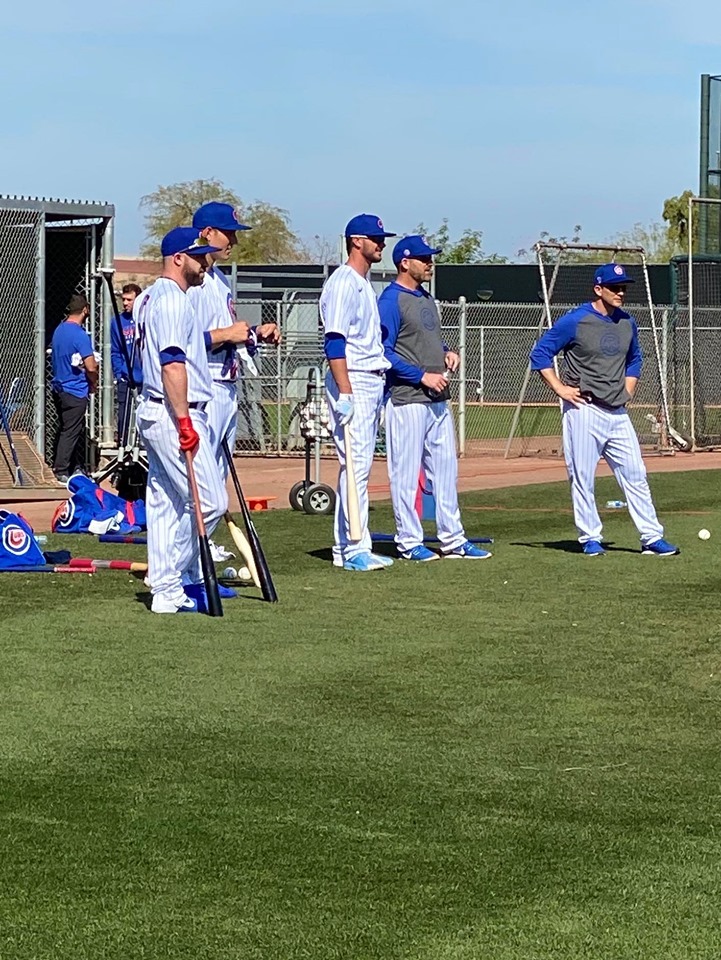 Cubs Baseball Photo of chicago and springtraining and Anthony Rizzo and Kris Bryant and jasonkipnis