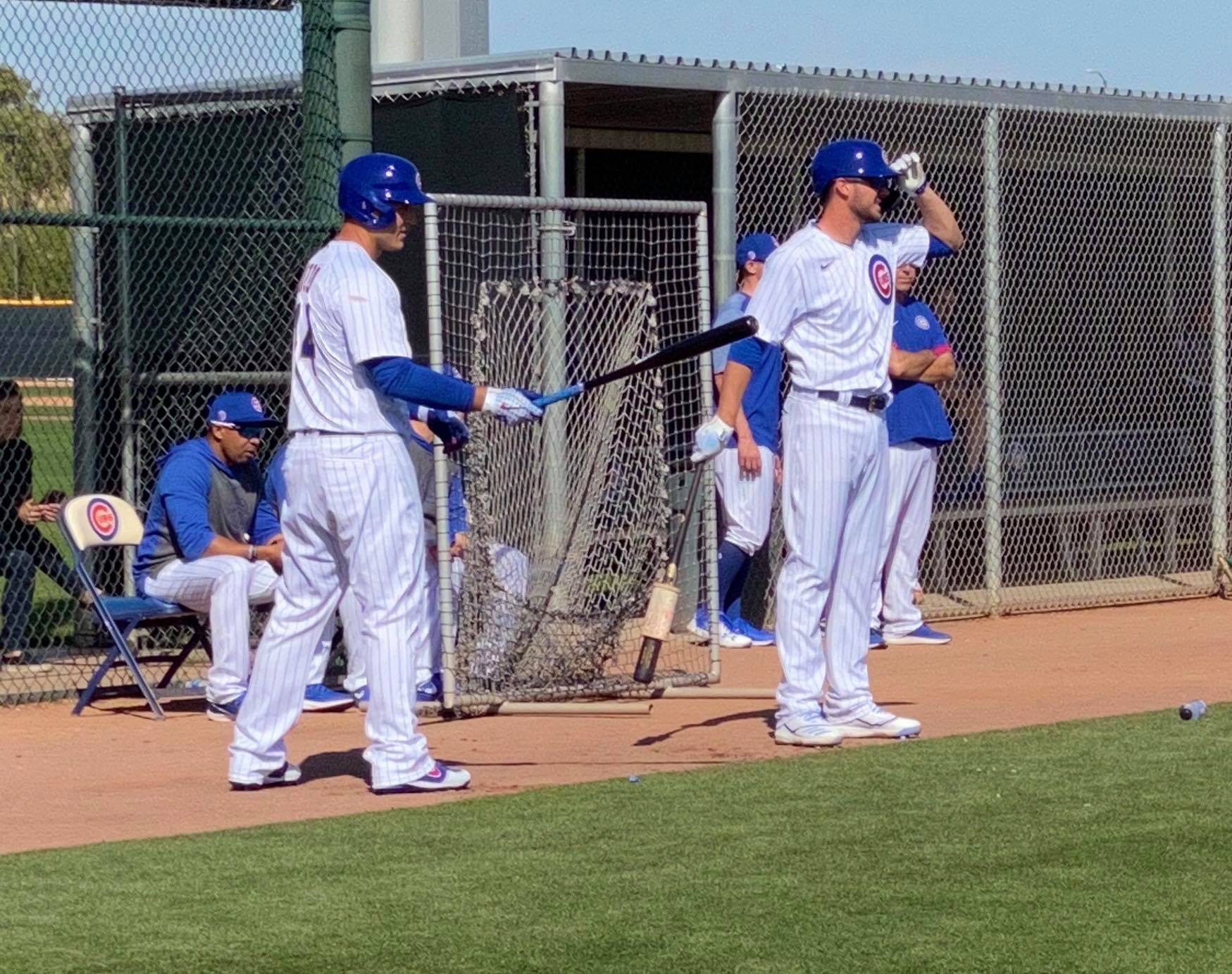 Cubs Baseball Photo of chicago and springtraining and Anthony Rizzo and Kris Bryant