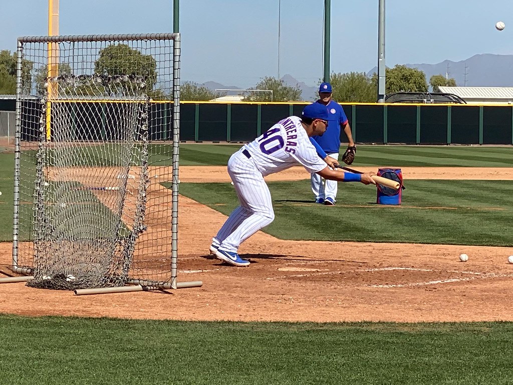 Chicago Sports Baseball Photo of chicago and cubs and springtraining and Willson Contreras