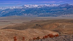Road to Death Valley 8577 A
