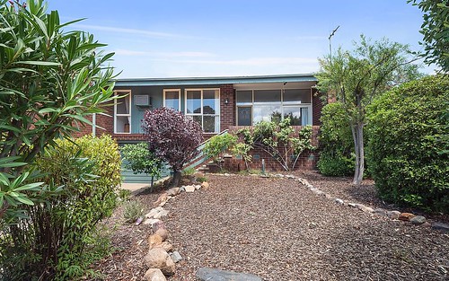 19 Rymill Place, Mawson ACT