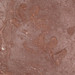 Tetrapod footprints (Sangre de Cristo Formation, Lower Permian; El Pueblo site, Upper Pecos Valley, New Mexico, USA) 2