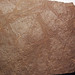 Myriapod tracks (Sangre de Cristo Formation, Lower Permian; El Pueblo site, Upper Pecos Valley, New Mexico, USA) 2