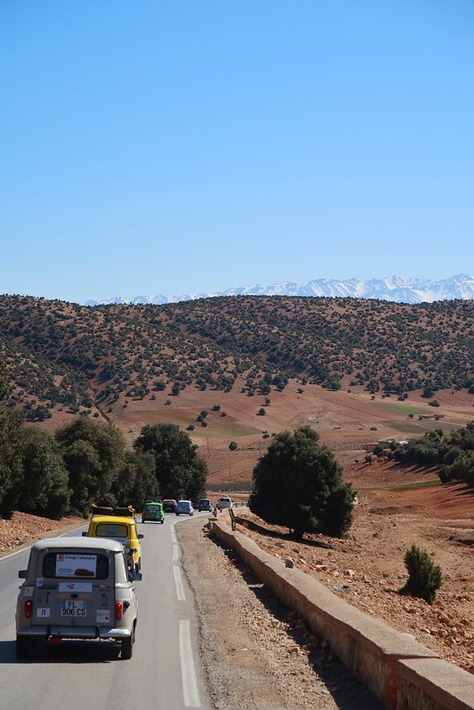 Middle Atlas Mountains with Barbary macaques (monkeys). Wild camping in our Sprinter van in Morocco, Africa.