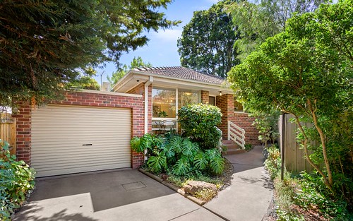 3/286 Springvale Rd, Forest Hill VIC 3131