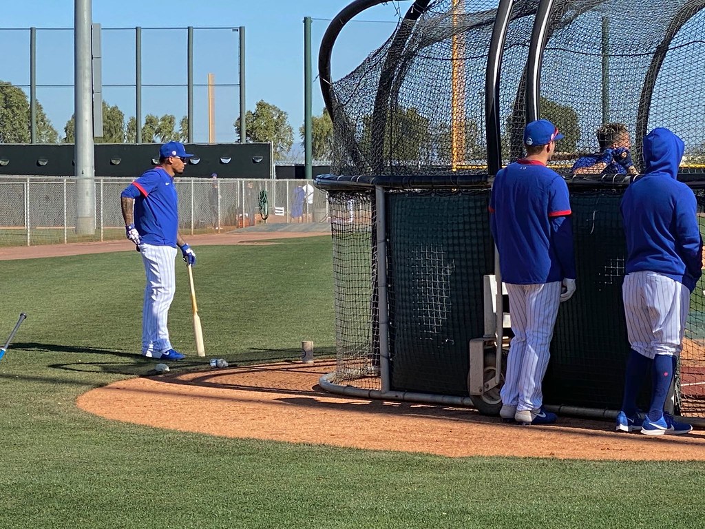Cubs Baseball Photo of chicago and springtraining and Javy Baez
