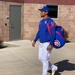 Chicago Cubs 2020 Spring Training
