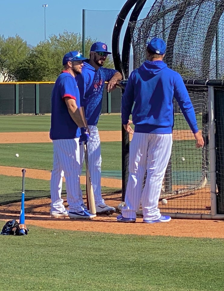 Cubs Baseball Photo of chicago and springtraining and Kris Bryant