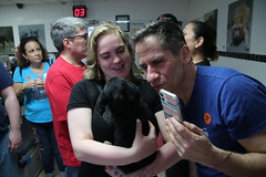 Visit to the Humane Society of Puerto Rico (San Juan, Puerto Rico) -  from the Celebrity Equinox - 48/2020 251/P365Year12 4268/P365all-time (February 17, 2020)