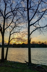 103: Old HIckory Sunset