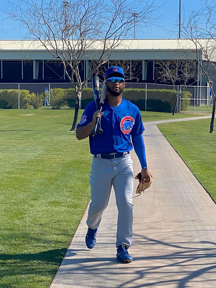 Cubs Baseball Photo of chicago and springtraining