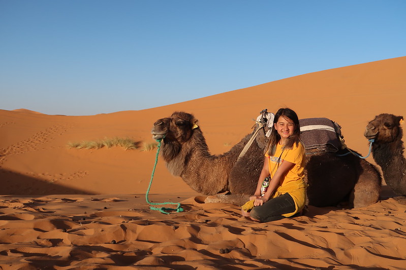Camping with camels in the Sahara Desert, Morocco (Erg Chebbi) Drove here with our US plated self built Sprinter 4x4 van.