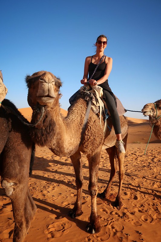 Camel rides through the Erg Chebbi sand dunes (the Sahara ...