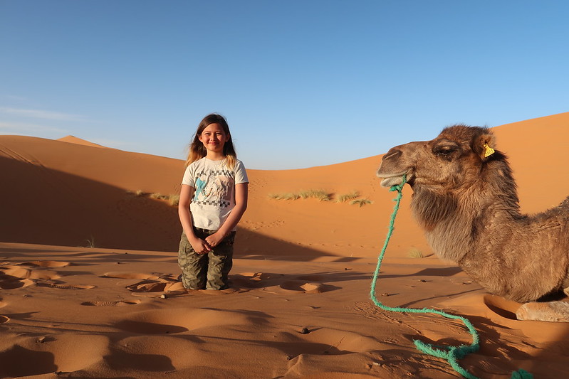 Camping with camels in the Sahara Desert, Morocco (Erg Chebbi) Drove here with our US plated self built Sprinter 4x4 van.