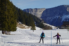Cross-country skiing tracks @ Plateau des Glières