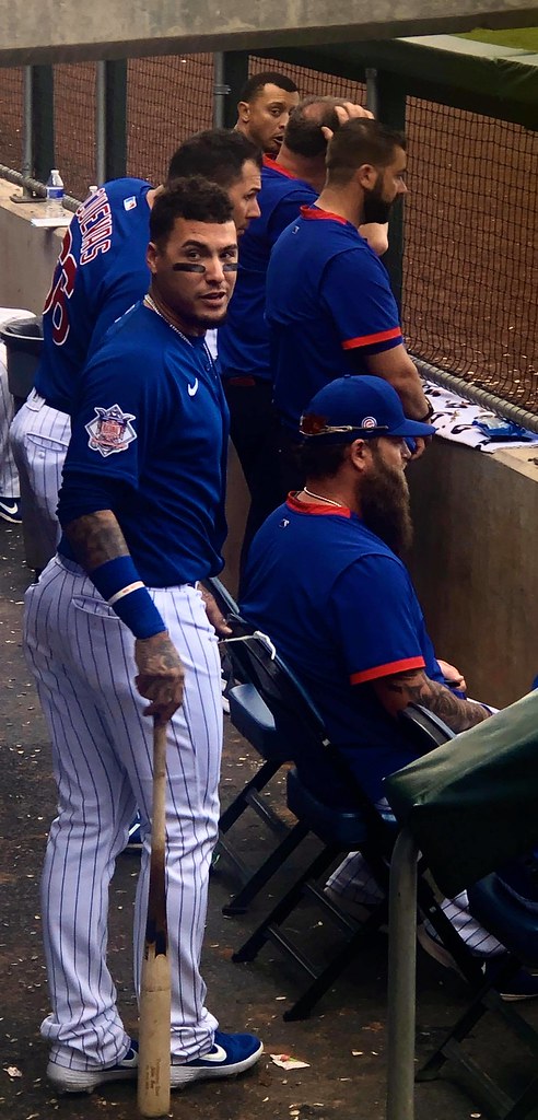 Bears Baseball Photo of chicago and cubs and Javy Baez