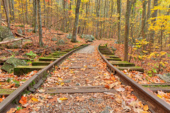 Autumn Logging Railroad