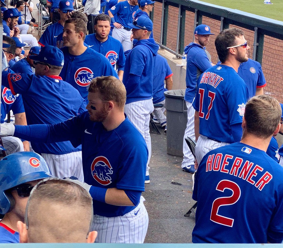 Cubs Baseball Photo of chicagocubs and springtraining