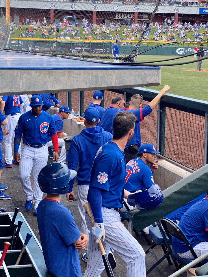 Cubs Baseball Photo of chicagocubs and springtraining