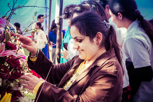 Copy of Garden Festival-permission 2 touch flowers