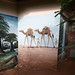 Long Legged Camel Mural, English Primary School, Moshi, Tanzania