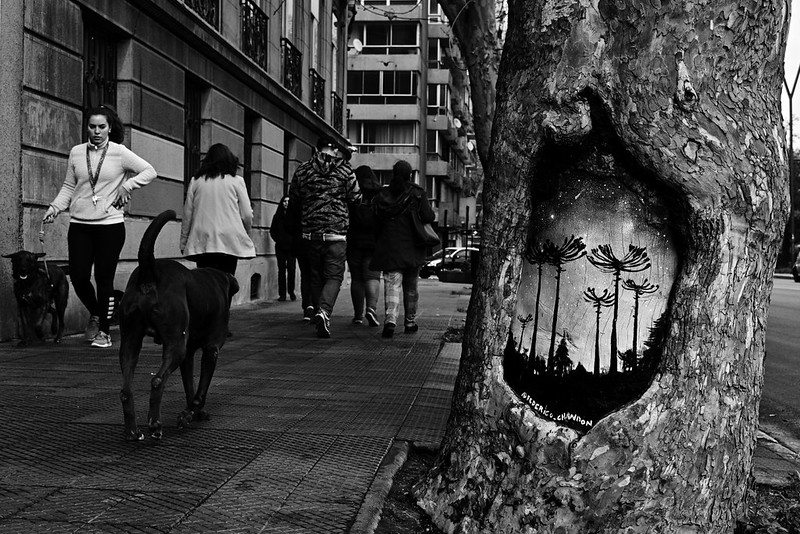 Avenida Providencia, Santiago, CHILE.<br/>© <a href="https://flickr.com/people/146863161@N02" target="_blank" rel="nofollow">146863161@N02</a> (<a href="https://flickr.com/photo.gne?id=49632030026" target="_blank" rel="nofollow">Flickr</a>)