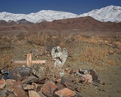 Desert Ghost Town Grave 8730 A