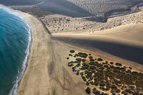 ocean meets dunes