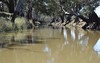 Packwood 5798 Lachlan Valley Way, Condobolin NSW