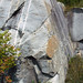 Granodiorite (Barre Pluton, Devonian, ~380 Ma; roadcut next to Rock of Ages Quarry, Graniteville, Vermont, USA) 2