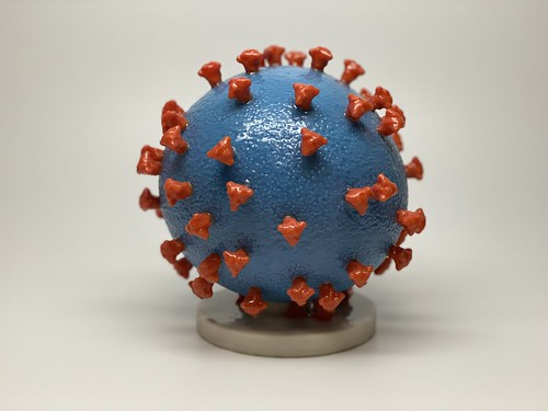 Novel Coronavirus SARS-CoV-2, From FlickrPhotos