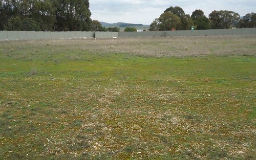 Lot 108 Manor Hills off Surry Street, Collector NSW 2581