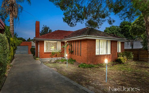 20 Leddy St, Forest Hill VIC 3131